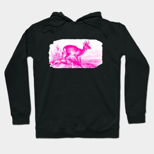 Muntjac Deer Design Hoodie